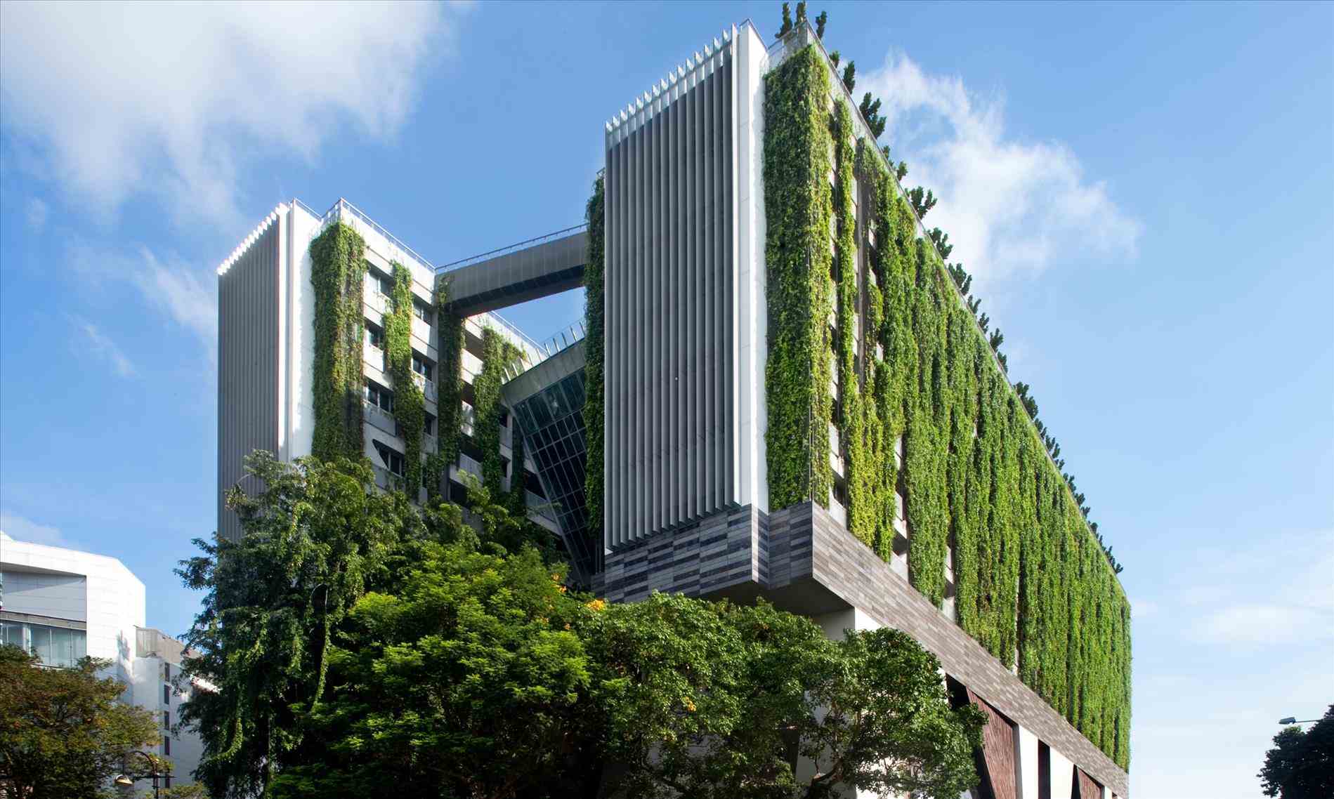 طراح و مجری ساختمان های سبز